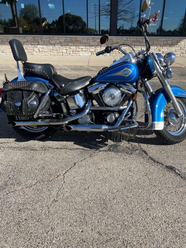 HD FLSTC 1996 BLUE - Photo 3