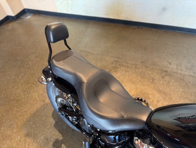 2020 Harley Davidson Softail Standard FXST - Photo 3