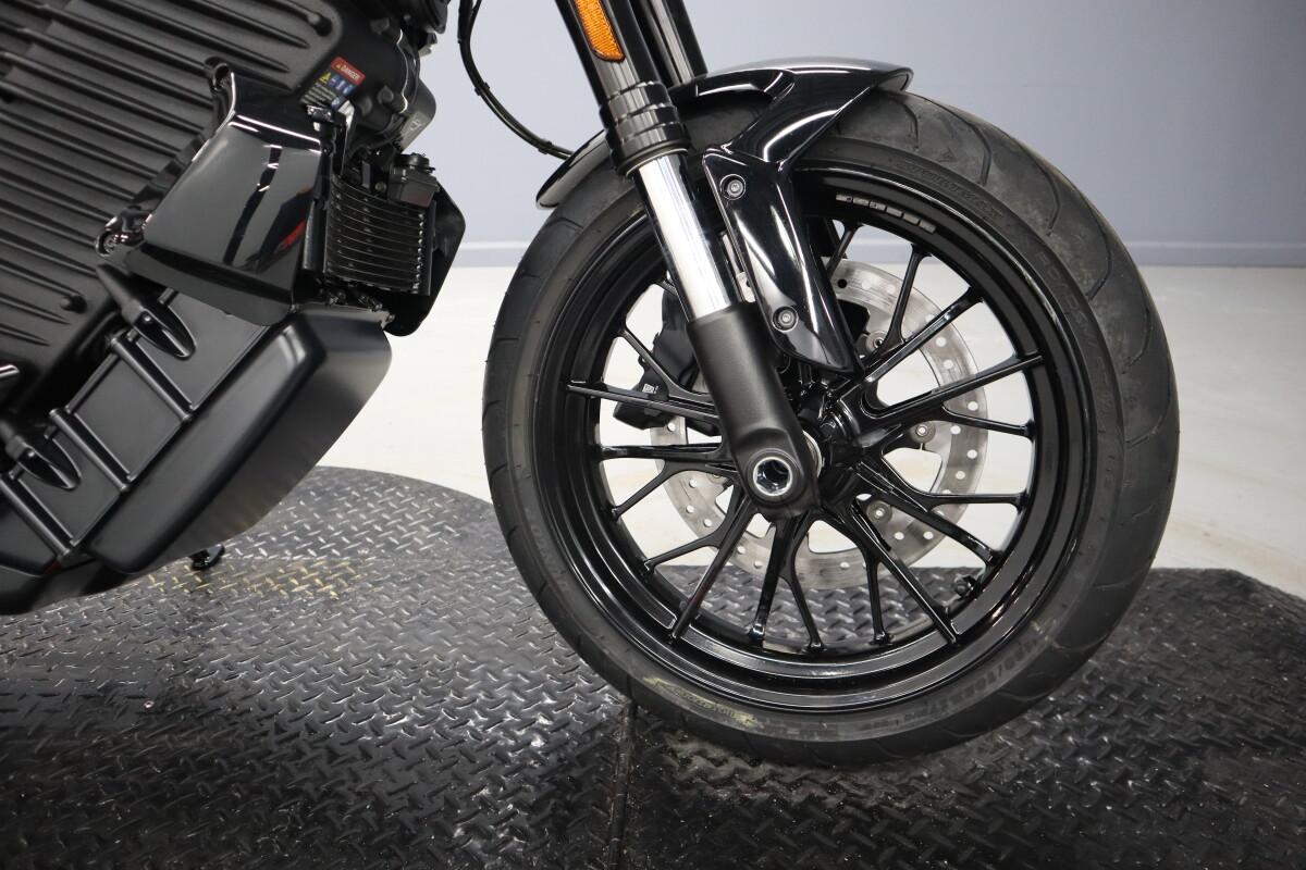 2025 LiveWire LiveWire S2 Alpinista S2AP - Photo 9