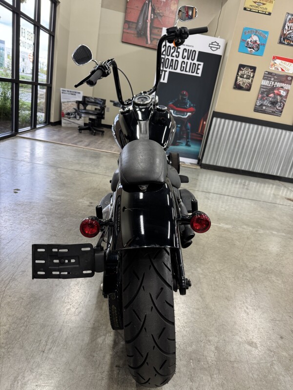 2019 Harley-Davidson Softail Slim FLSL - Photo 7