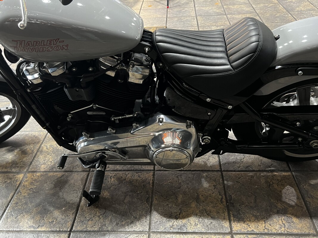 FXST 2024 Softail Standard - Photo 10