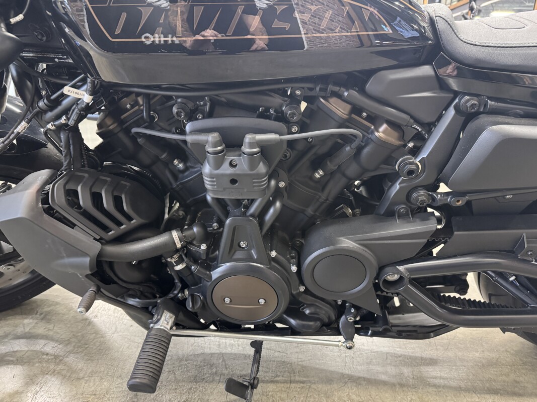 2022 Harley-Davidson Sportster S RH1250S - Photo 9