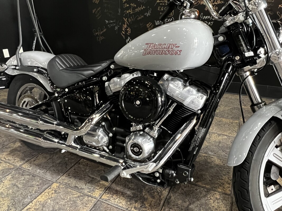 FXST 2024 Softail Standard - Photo 4