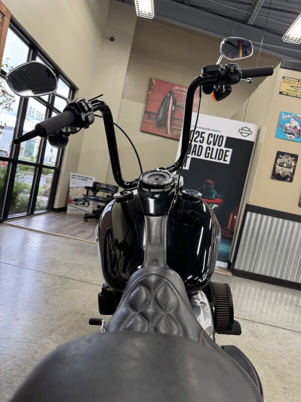 2019 Harley-Davidson Softail Slim FLSL - Photo 4