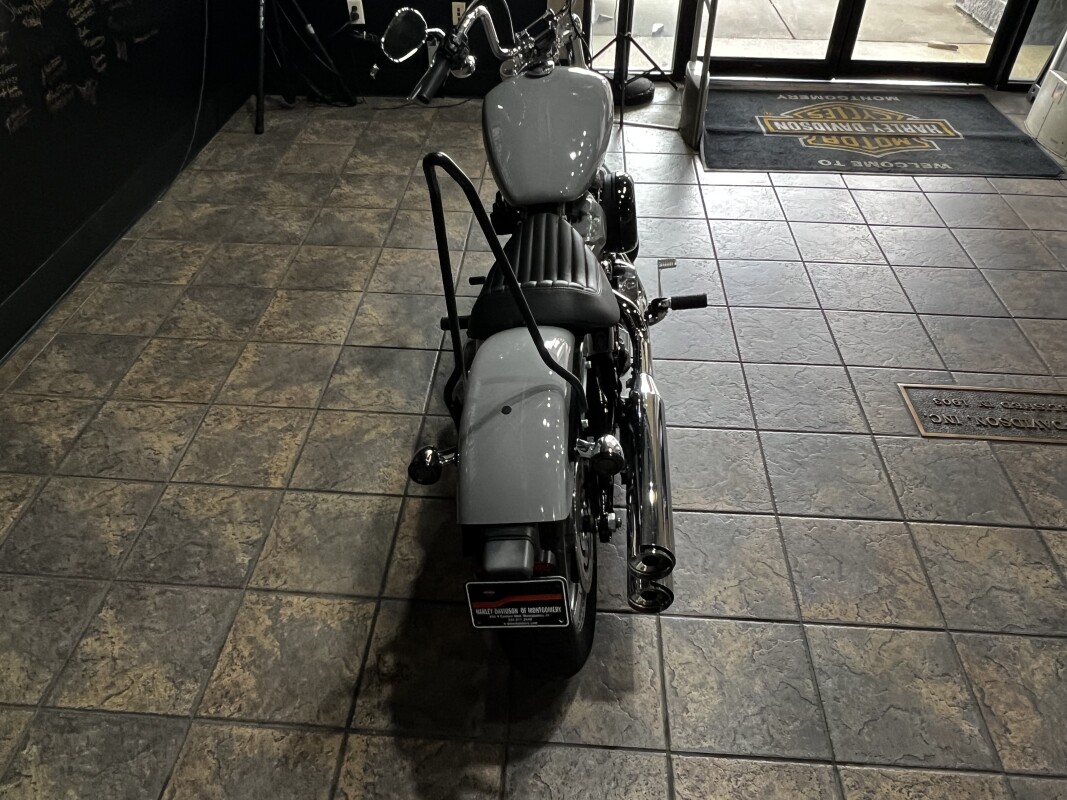 FXST 2024 Softail Standard - Photo 7