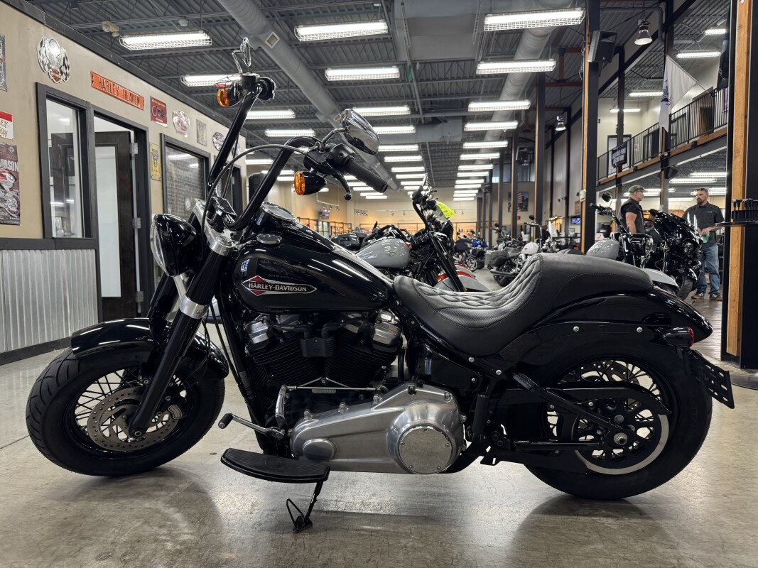 2019 Harley-Davidson Softail Slim FLSL - Photo 10