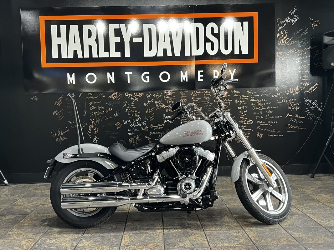 FXST 2024 Softail Standard