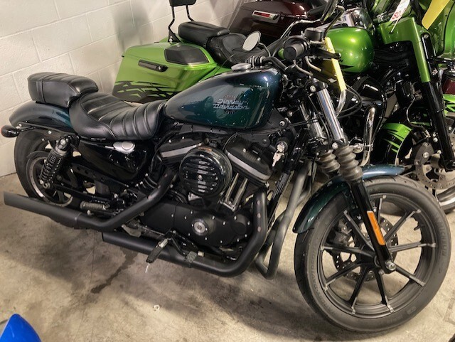 Harley-Davidson Iron 883 2021 XL 883N Snake Venom