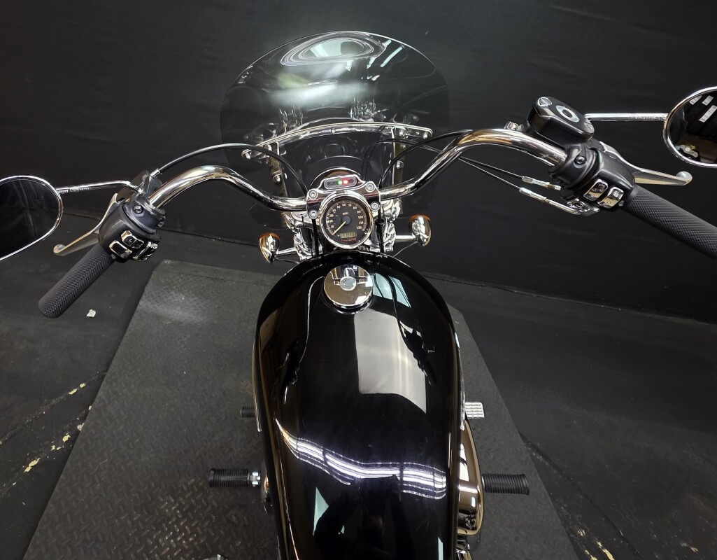 Harley-Davidson 1200 Custom 2009 XL1200C BLACK - Photo 8