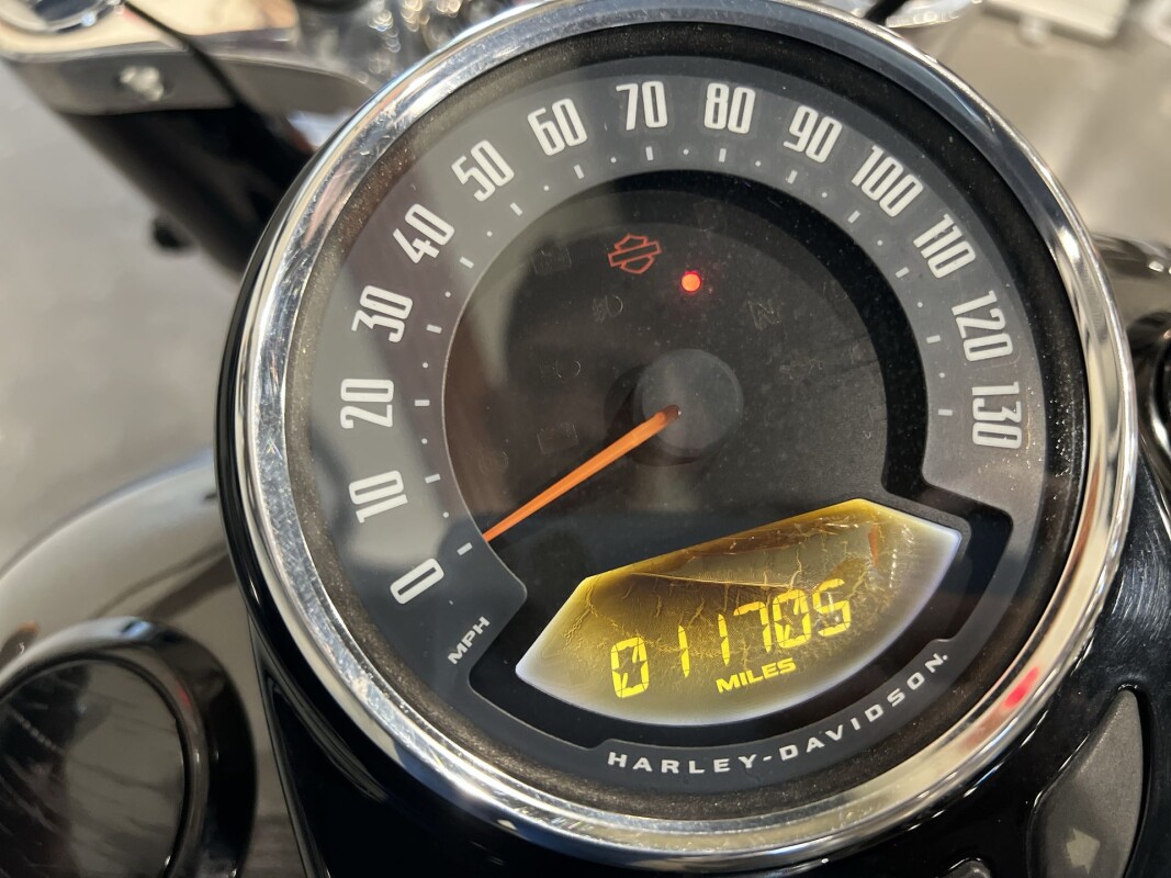 2019 Harley-Davidson Softail Slim FLSL - Photo 10