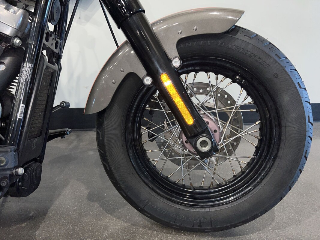 2019 Harley-Davidson Softail Slim FLSL - Photo 3