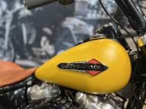 2019 Harley-Davidson® Softail Slim® Rugged Gold Denim thumb 0