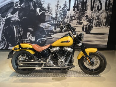 2019 Harley-Davidson® Softail Slim® Rugged Gold Denim