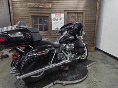 2019 Harley-Davidson Electra Glide Ultra Classic BLACK W/PINSTRIPE - Photo 2