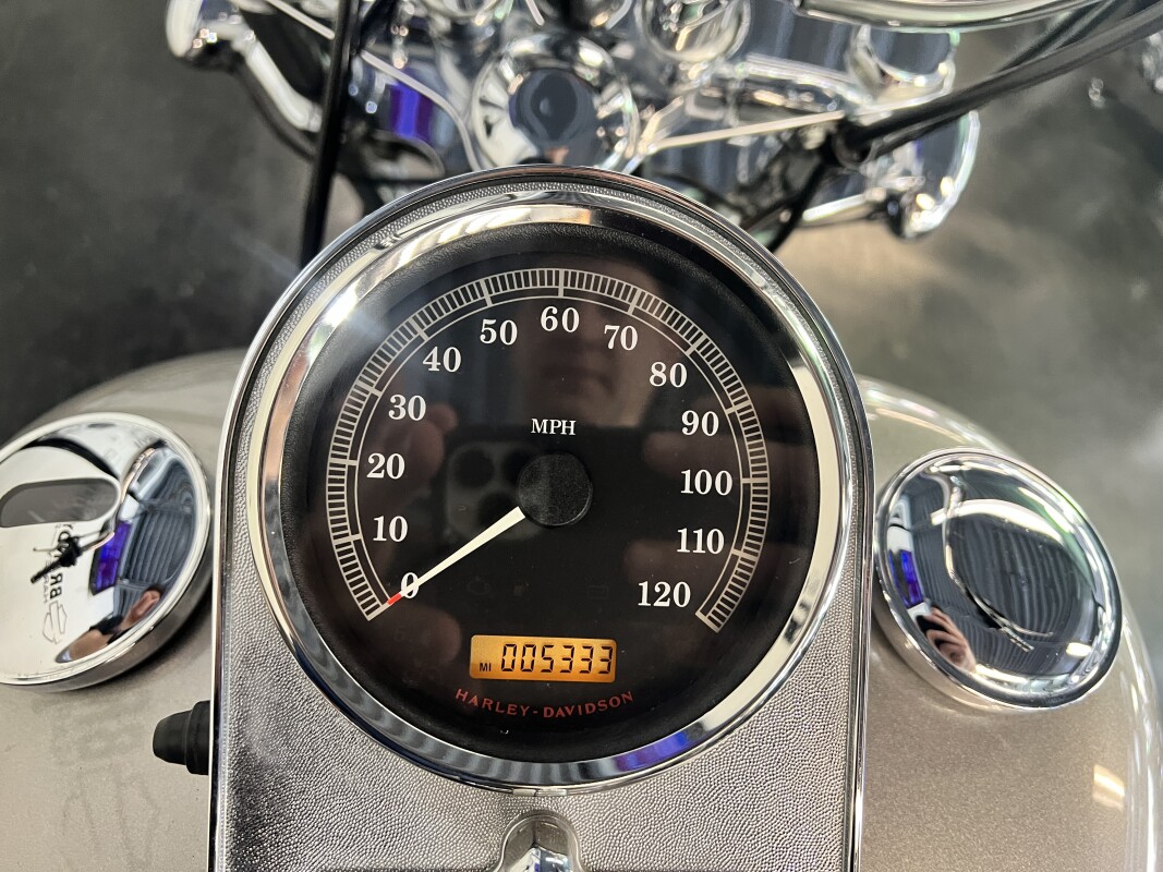 2007 Softail Standard Pewter Pearl FXST - Photo 6