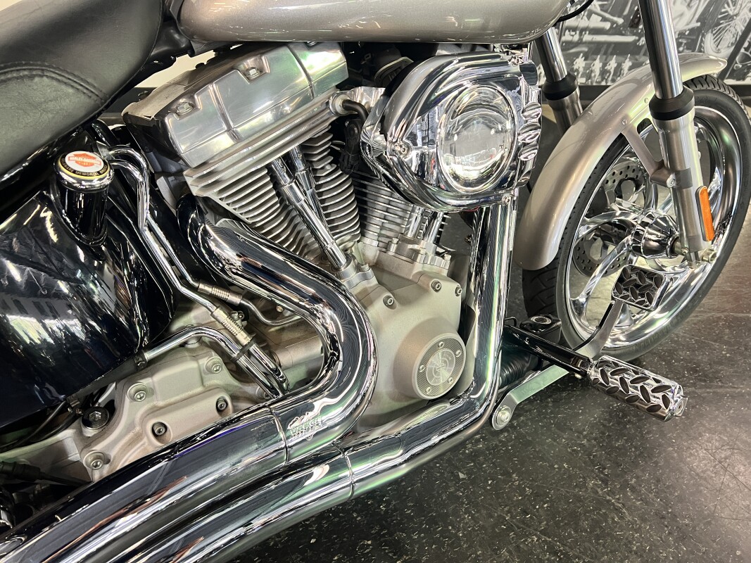 2007 Softail Standard Pewter Pearl FXST - Photo 10