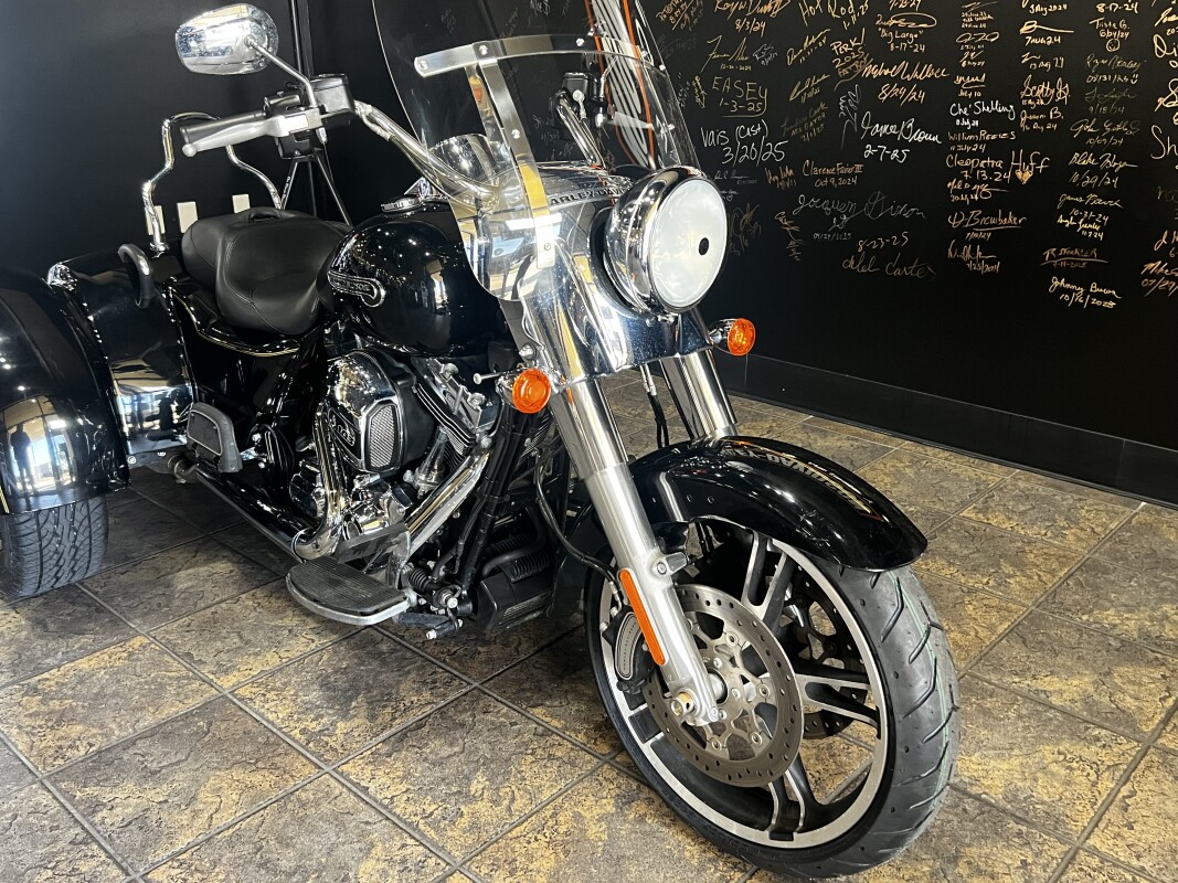 FLRT 2016 Freewheeler - Photo 2
