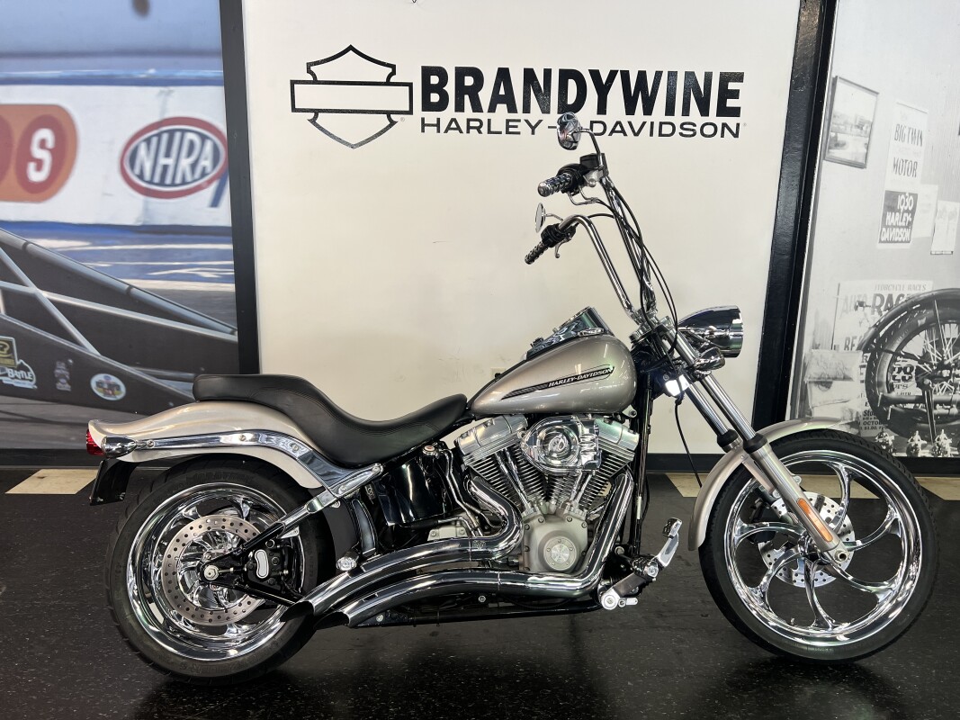 2007 Softail Standard Pewter Pearl FXST