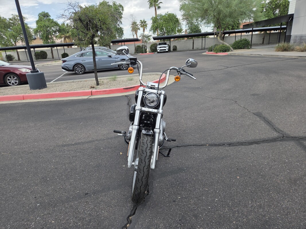 FXST 2023 Softail Standard - Photo 6