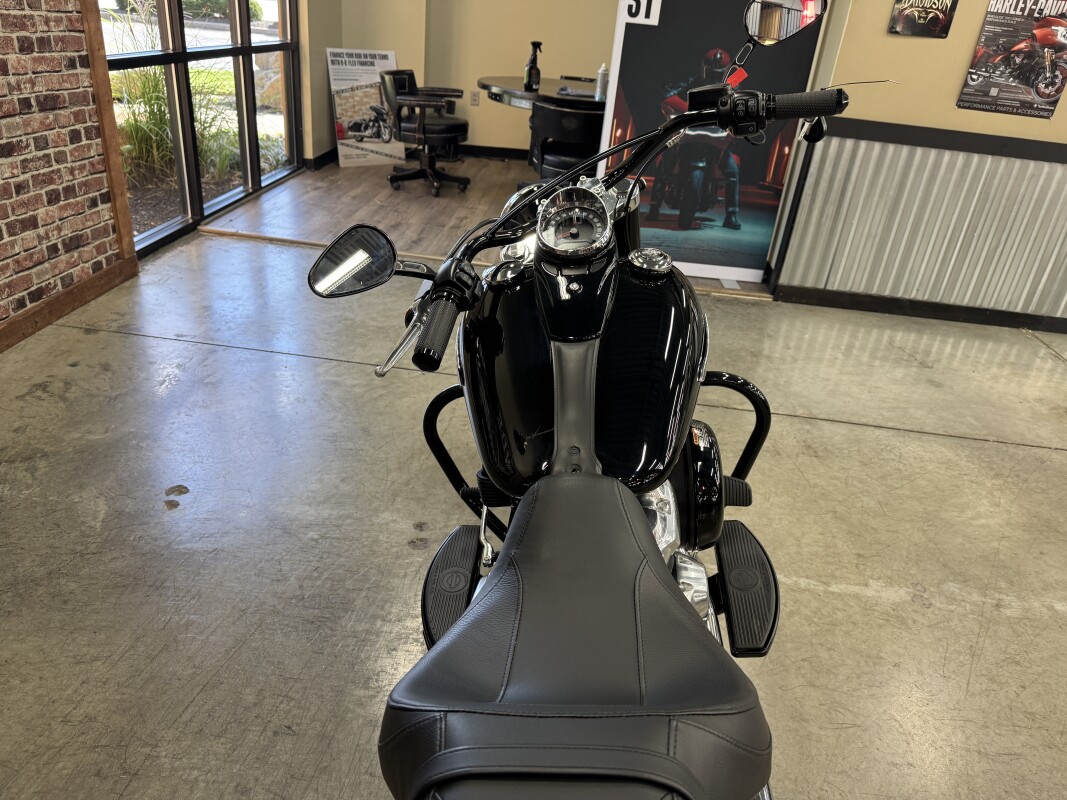 2018 Harley-Davidson Softail Slim FLS - Photo 3