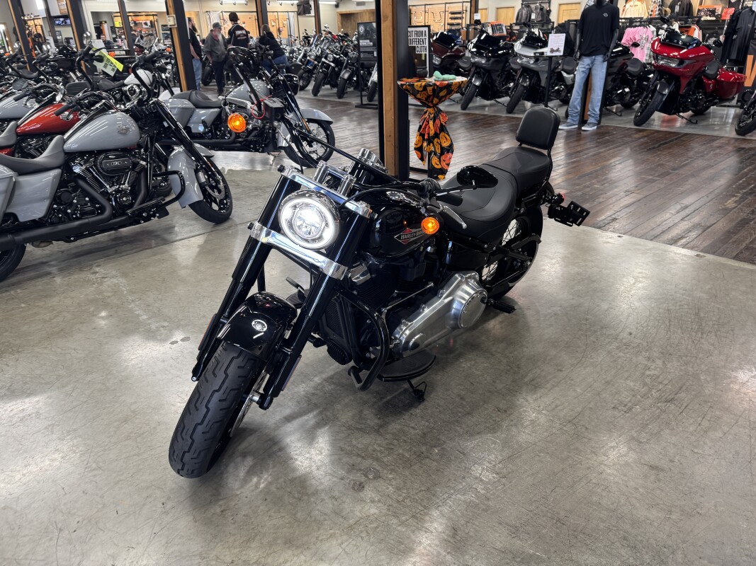2018 Harley-Davidson Softail Slim FLS - Photo 10