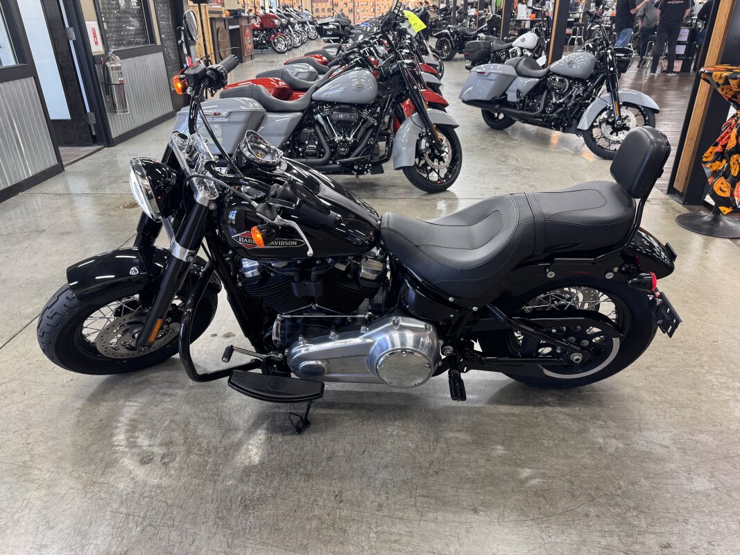 2018 Harley-Davidson Softail Slim FLS - Photo 8