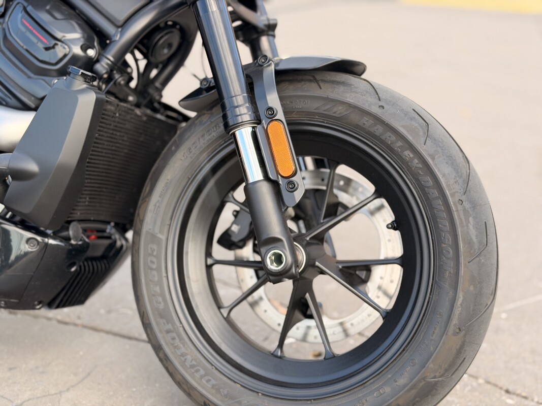 2025 Harley-Davidson Sportster S RH1250S Billiard Gray - Photo 8