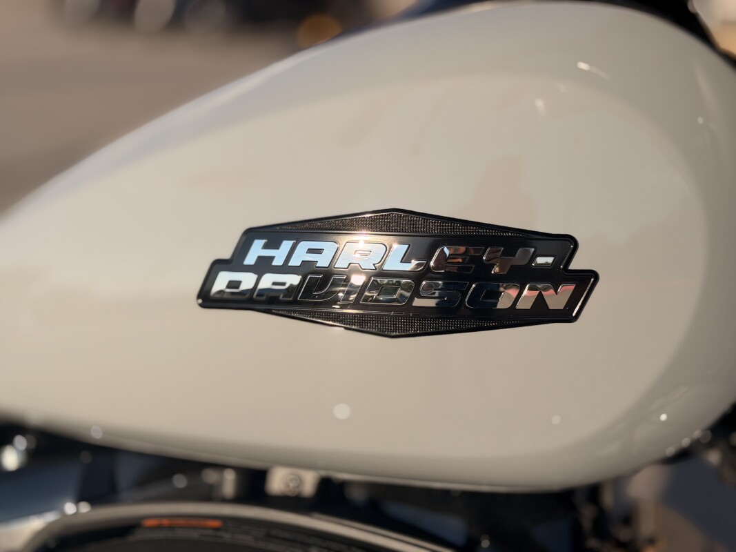 2025 Harley-Davidson Street Glide FLHX Billiard Gray - Photo 9
