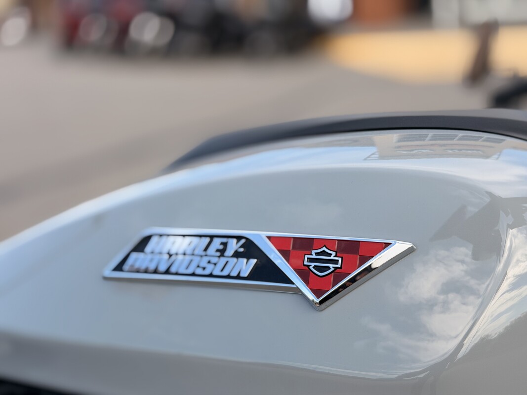 2025 Harley-Davidson Sportster S RH1250S Billiard Gray - Photo 9