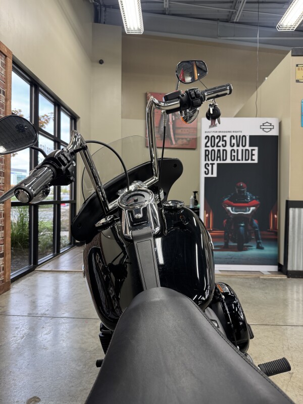 2018 Harley-Davidson Sport Glide FLSB - Photo 3