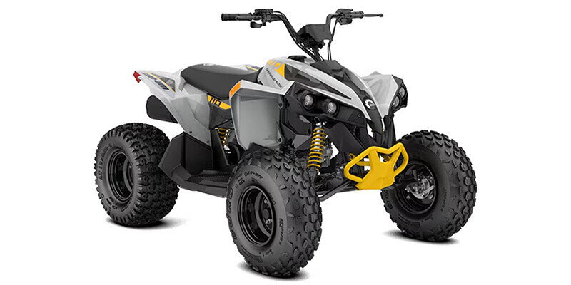 2026 Can-Am Renegade 110 EFI 