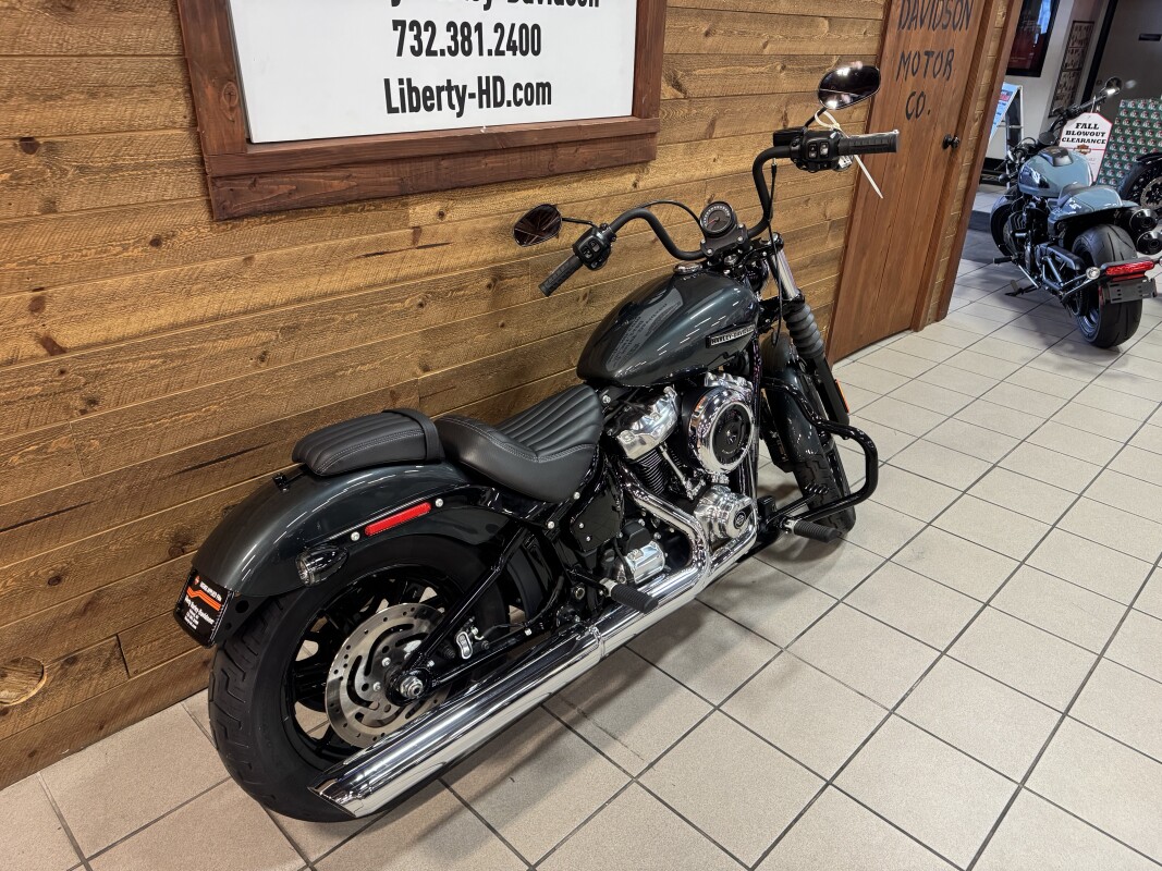 2025 Harley-Davidson Street Bob Iron Horse Metallic w/Cast Wheels FXBB - Photo 8