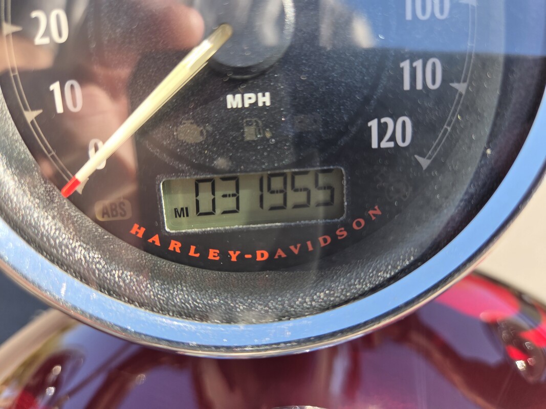 XL1200C 2015 1200 Custom - Photo 7