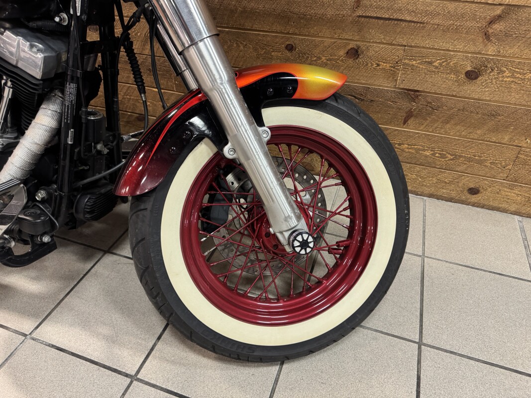 2016 Harley-Davidson Softail Slim Custom Flame Paint FLS - Photo 4