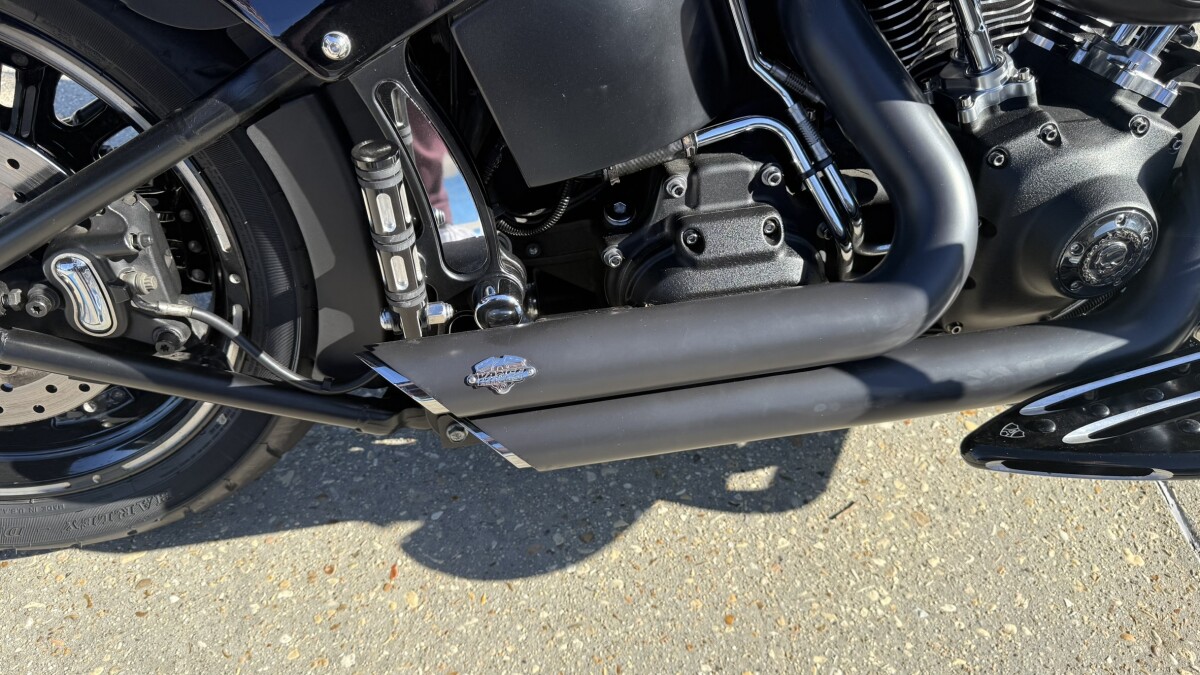 2010 Harley-Davidson Fat Boy Special - Photo 9