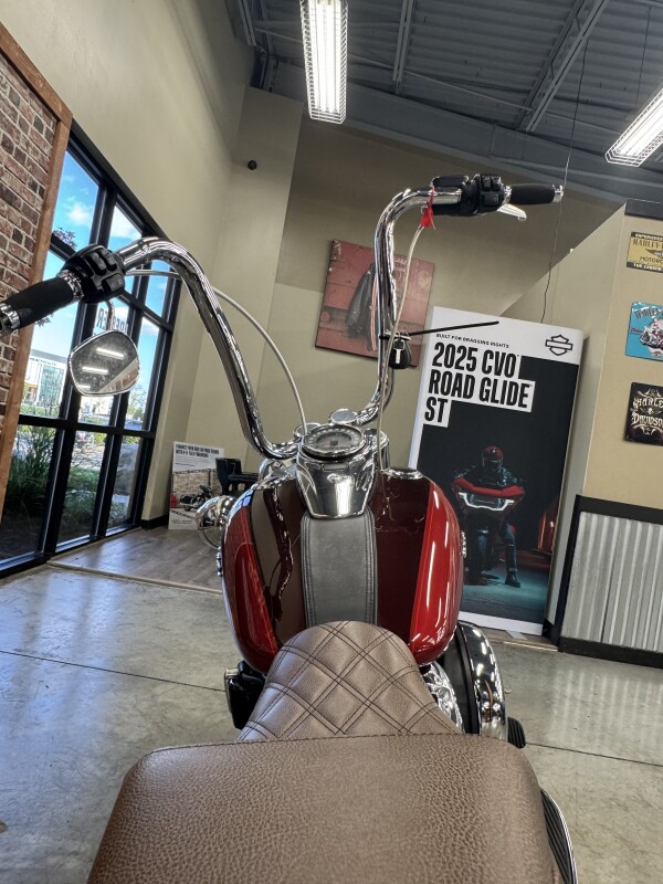 2018 Harley-Davidson Deluxe FLDE - Photo 3