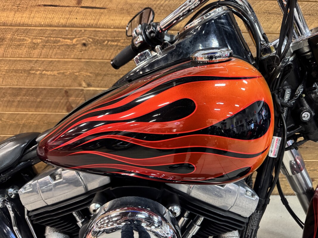 2016 Harley-Davidson Softail Slim Custom Flame Paint FLS - Photo 2