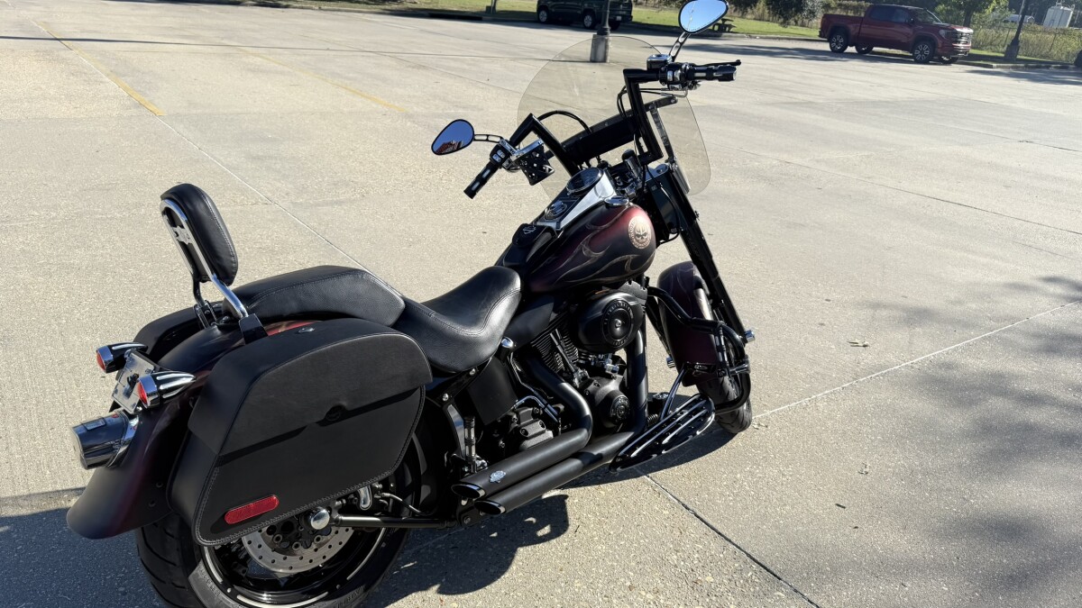 2010 Harley-Davidson Fat Boy Special - Photo 10