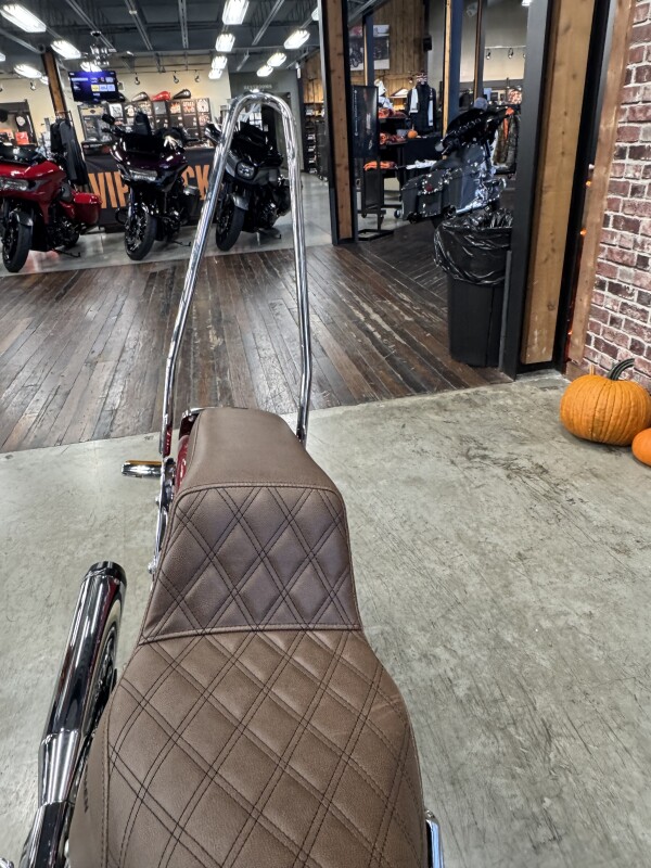 2018 Harley-Davidson Deluxe FLDE - Photo 5