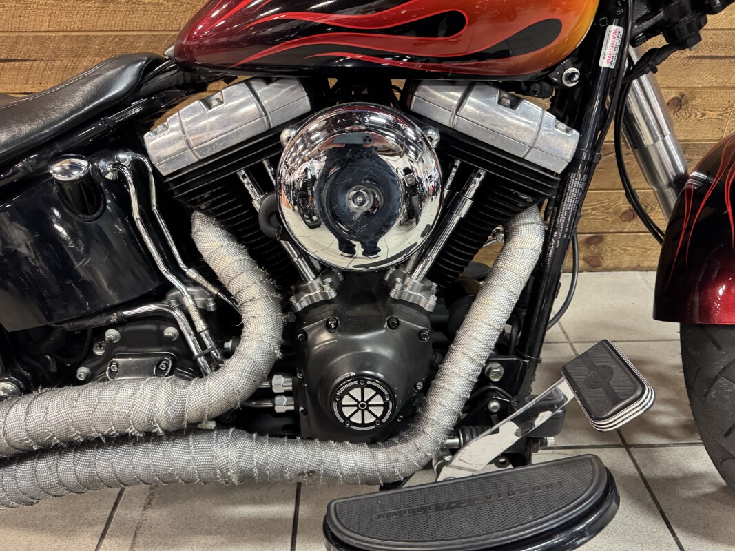 2016 Harley-Davidson Softail Slim Custom Flame Paint FLS - Photo 3