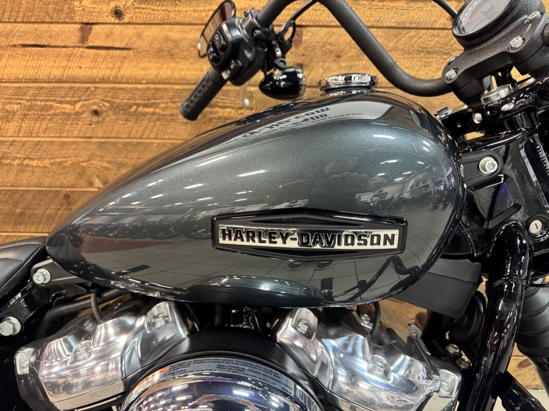 2025 Harley-Davidson Street Bob Iron Horse Metallic w/Cast Wheels FXBB - Photo 2