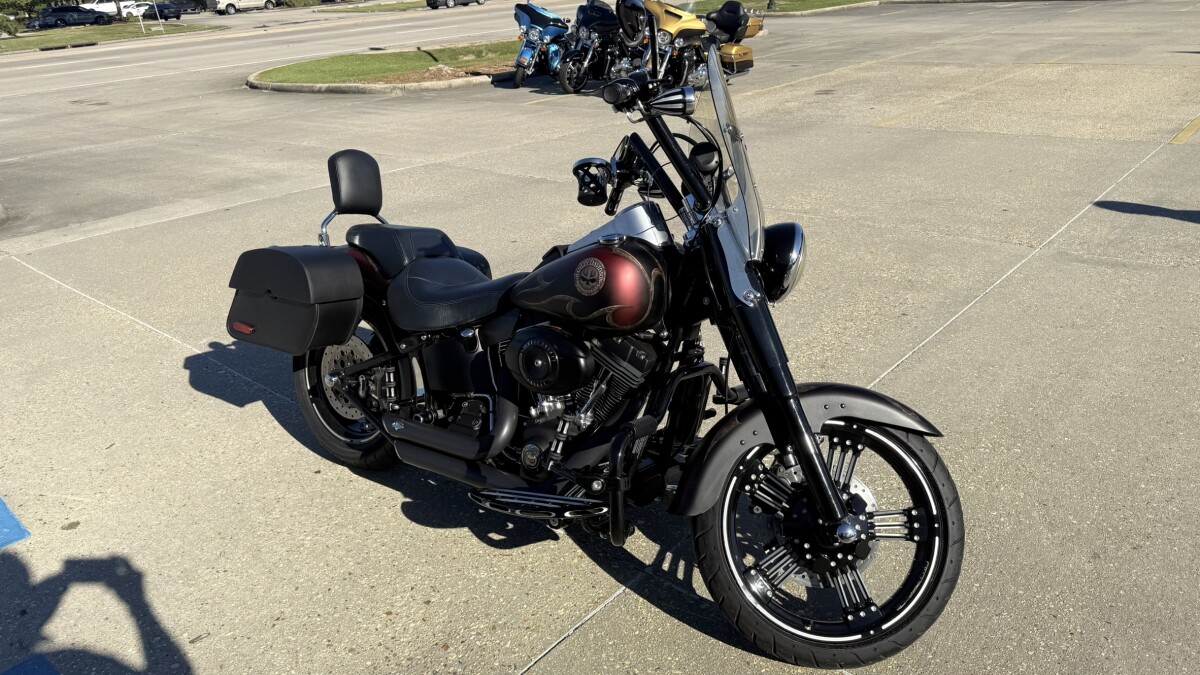 2010 Harley-Davidson Fat Boy Special - Photo 4