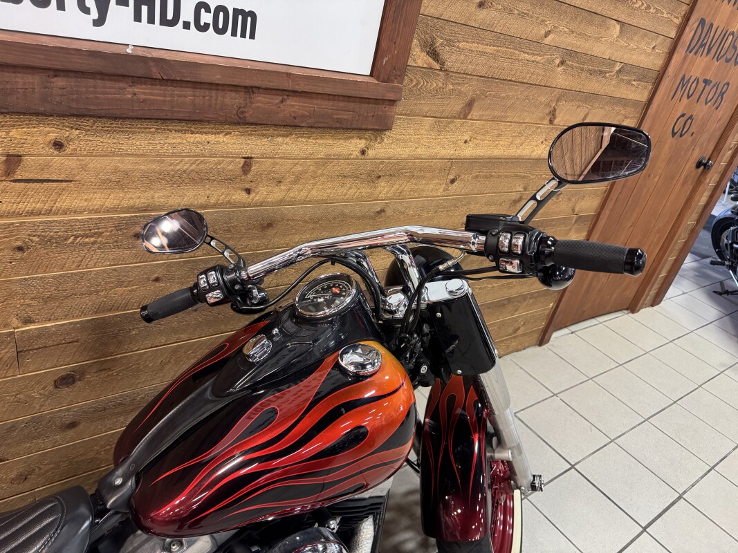 2016 Harley-Davidson Softail Slim Custom Flame Paint FLS - Photo 6