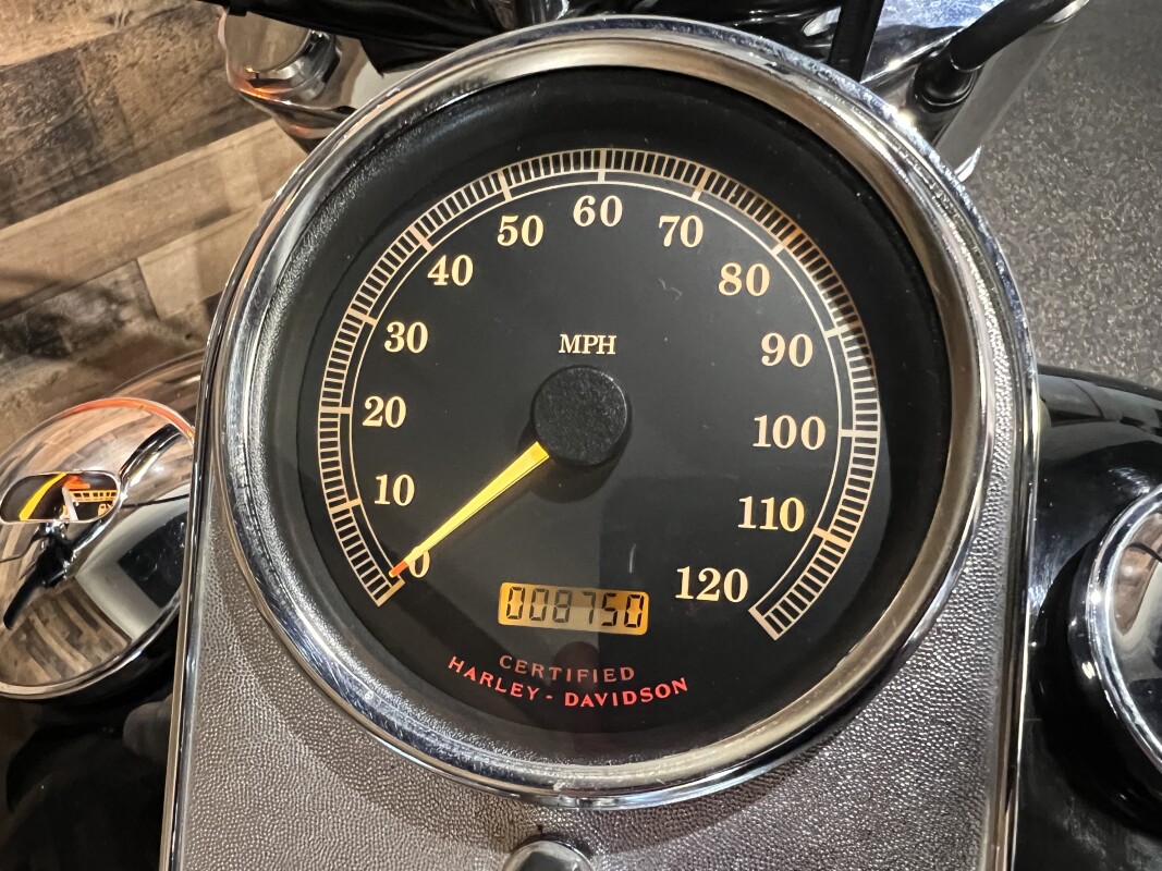 2003 Harley-Davidson Dyna Wide Glide 100th Anniversary FXDWG - Photo 9