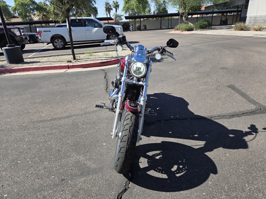 XL1200C 2015 1200 Custom - Photo 6