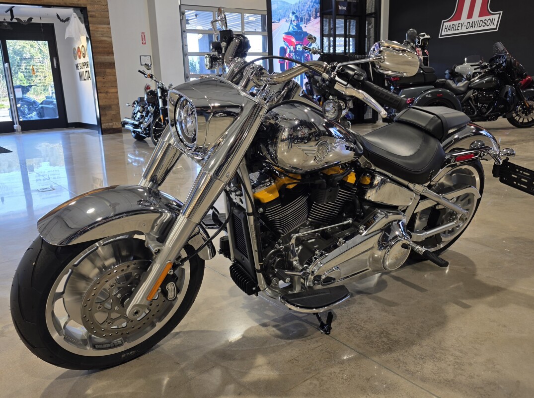 2025 Harley-Davidson Fat Boy Gray Ghost - Photo 6