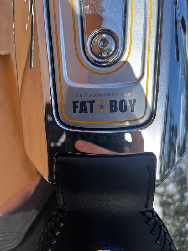 Fat Boy - Photo 10