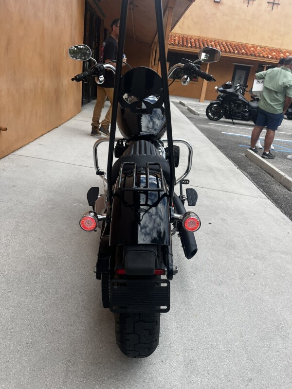 Softail Standard - Photo 6