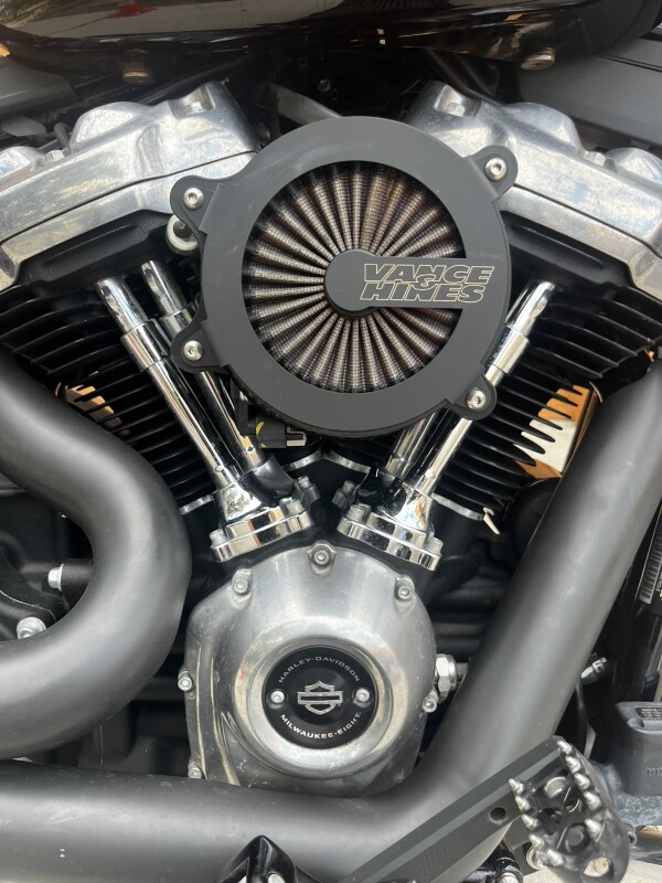 Softail Standard - Photo 3