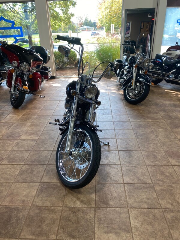 2002 Harley-Davidson Softail Standard - Photo 3